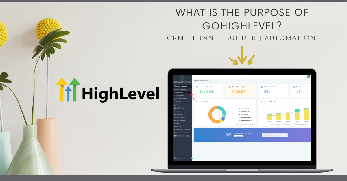 What Is the Purpose of GoHighLevel